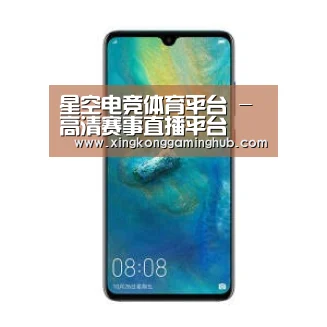 华为无线快充手机