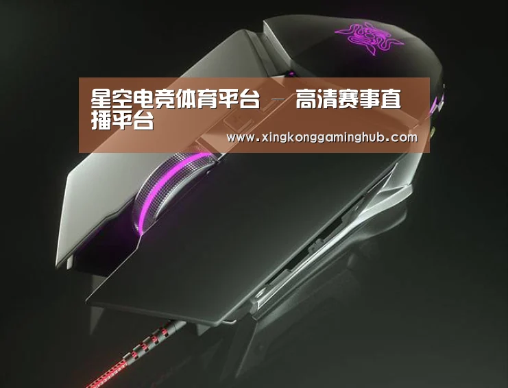 鼠标封面设计