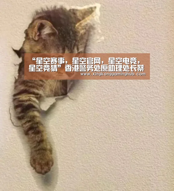星空赛事，星空官网，星空电竞，星空竞猜