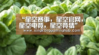 星空赛事，星空官网，星空电竞，星空竞猜