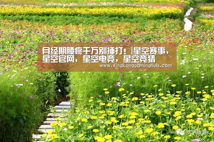 星空赛事，星空官网，星空电竞，星空竞猜